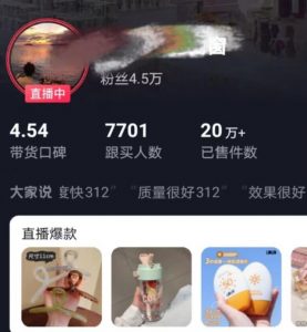 全新的蓝海赛道,抖音一元直播,不用囤货,不用出镜,照读话术也能20w+月销量【揭秘】-阳知网创资源库