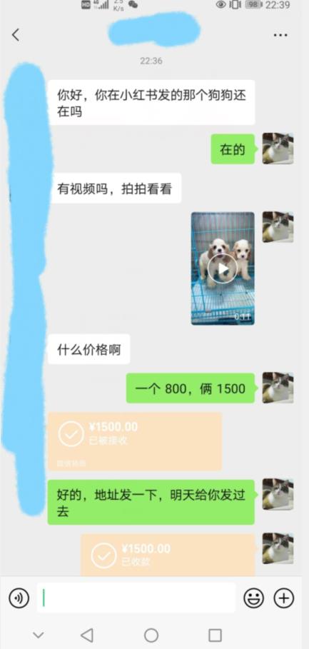 外边收费3980的同城萌宠项目,用最冷门的玩法冲击最热门的市场【揭秘】-阳知网创资源库