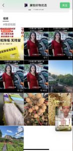 外面收费198的最新视频号连怼技术,条条原创,条条爆单【揭秘】-阳知网创资源库
