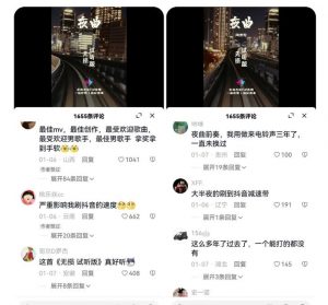 副业拆解:抖音杰伦音乐号涨粉变现项目,视频版一条龙实操玩法分享给你-阳知网创资源库