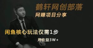 闲鱼核心玩法不卖货也能1年变现20W,玩法简单-阳知网创资源库