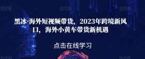 黑冰·海外短视频带货,2023年跨境新风口,海外小黄车带货新机遇-阳知网创资源库