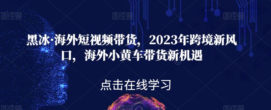 黑冰·海外短视频带货,2023年跨境新风口,海外小黄车带货新机遇-阳知网创资源库