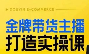 金牌带货主播打造实操课，直播间小公主丹丹老师告诉你，百万主播不可追，高效复制是王道！-阳知网创资源库