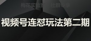 梅花实验室社群视频号连怼玩法第二期，实操讲解全部过程-阳知网创资源库