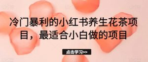 冷门暴利的小红书养生花茶项目,最适合小白做的项目【揭秘】-阳知网创资源库