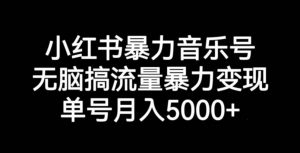小红书暴力音乐号，无脑搞流量暴力变现，单号月入5000+-阳知网创资源库