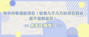 海外问卷调查项目(收费几千几万的项目到底是不是割韭菜)【揭秘】-阳知网创资源库