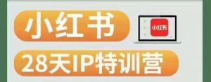 28天小红书博主IP特训营（第3期）实战经验，快速涨粉，迅速变现-阳知网创资源库