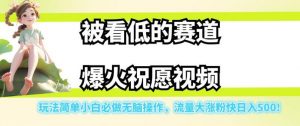 被看低的赛道爆火祝愿视频,玩法简单小白必做无脑操作,流量大涨粉快日入500-阳知网创资源库