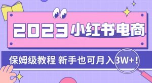 阿本小红书电商陪跑营4.0,带大家从0到1把小红书做起来-阳知网创资源库