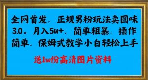全网首发正规男粉玩法卖圆味3.0,月入5W+,简单粗暴,操作简单,保姆式教学,小白轻松上手-阳知网创资源库