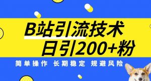 B站引流技术:每天引流200精准粉,简单操作,长期稳定,规避风险-阳知网创资源库