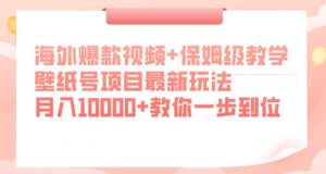 海外爆款视频+保姆级教学，壁纸号项目最新玩法，月入10000+教你一步到位【揭秘】-阳知网创资源库