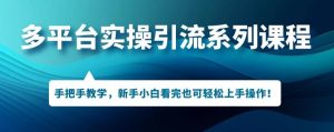 多平台引流实操系列课程，新手小白看完也可轻松上手进行引流操作-阳知网创资源库