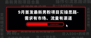 9月首发最新男粉项目实操思路-需求有市场,流量有渠道【揭秘】-阳知网创资源库