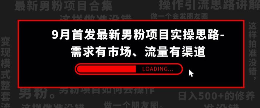 9月首发最新男粉项目实操思路-需求有市场，流量有渠道【揭秘】-阳知网创资源库