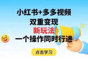 多多视频+小红书,双重变现新玩法,可同时进行【揭秘】-阳知网创资源库