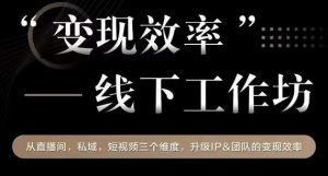 变现效率线下工作坊,从播直间、私域、视短频个三维度,升级IP和团队变现效率-阳知网创资源库
