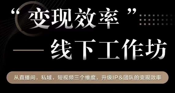变现效率线下工作坊,从播直间、私域、视短频个三维度,升级IP和团队变现效率-阳知网创资源库