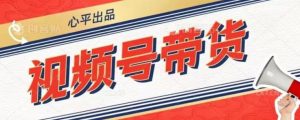 视频号带货好物分享2.0,看完以后可以直接开干了【揭秘】-阳知网创资源库