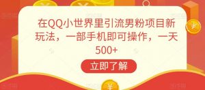 在QQ小世界里引流男粉项目新玩法,一部手机即可操作,一天500+【揭秘】-阳知网创资源库