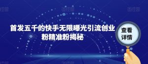 首发五千的快手无限曝光引流创业粉精准粉揭秘-阳知网创资源库