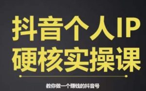 个人IP创富系统实战课,商业定位,流量打造,短视频变现,教你做个赚钱的抖音号-阳知网创资源库