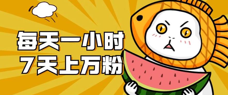 暴力涨粉项目:每天一小时,七天上万粉【揭秘】-阳知网创资源库