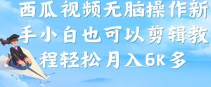 西瓜视频搞笑号,无脑操作新手小白也可月入6K-阳知网创资源库