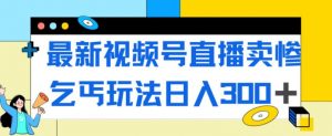 最新视频号直播卖惨乞讨玩法,流量嘎嘎滴,轻松日入300+-阳知网创资源库