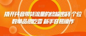 撬开抖音带货流量的终极密码 个位数单品很吃香 新手容易操作-阳知网创资源库