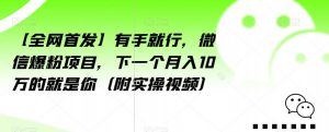 【全网首发】有手就行,微信爆粉项目,下一个月入10万的就是你(附实操视频)【揭秘】-阳知网创资源库