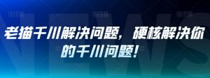 老猫千川解决问题,硬核解决你的千川问题!-阳知网创资源库