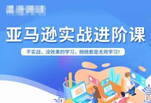 亚马逊FBA运营进阶课，不实战，没效果的学习，统统都是无效学习-阳知网创资源库