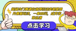 超级冷门赛道在微博引流卖明星图片最新玩法,一单88元,成交非常丝滑【揭秘】-阳知网创资源库