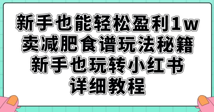 新手也能轻松盈利1w，卖减肥食谱玩法秘籍，新手也玩转小红书详细教程【揭秘】-阳知网创资源库