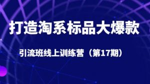 打造淘系标品大爆款引流班线上训练营(第17期)5天直播授课-阳知网创资源库