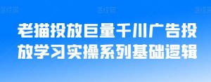 老猫投放巨量千川广告投放学习实操系列基础逻辑-阳知网创资源库