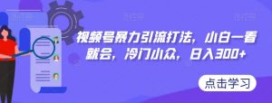视频号暴力引流打法,小白一看就会,冷门小众,日入300+【揭秘】-阳知网创资源库
