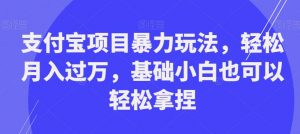 支付宝项目暴力玩法，轻松月入过万，基础小白也可以轻松拿捏【揭秘】-阳知网创资源库
