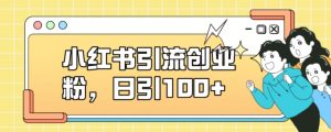 小红书引流创业粉,日引100+【揭秘】-阳知网创资源库