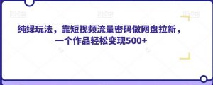 纯绿玩法，靠短视频流量密码做网盘拉新，一个作品轻松变现500+【揭秘】-阳知网创资源库