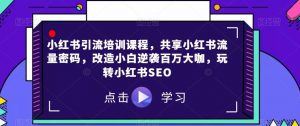 小红书引流培训课程,共享小红书流量密码,改造小白逆袭百万大咖,玩转小红书SEO-阳知网创资源库