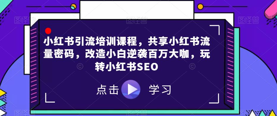 小红书引流培训课程,共享小红书流量密码,改造小白逆袭百万大咖,玩转小红书SEO-阳知网创资源库