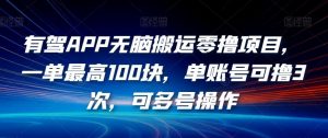 有驾APP无脑搬运零撸项目,一单最高100块,单账号可撸3次,可多号操作【揭秘】-阳知网创资源库