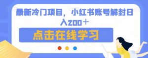 最新冷门项目，小红书账号解封日入200＋【揭秘】-阳知网创资源库