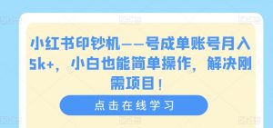 小红书印钞机——号成单账号月入5k+,小白也能简单操作,解决刚需项目【揭秘】-阳知网创资源库