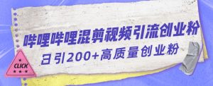 哔哩哔哩B站混剪视频引流创业粉日引300+-阳知网创资源库
