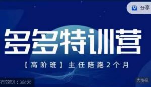 纪主任·多多特训营高阶班【9月13日更新】,拼多多最新玩法技巧落地实操-阳知网创资源库
